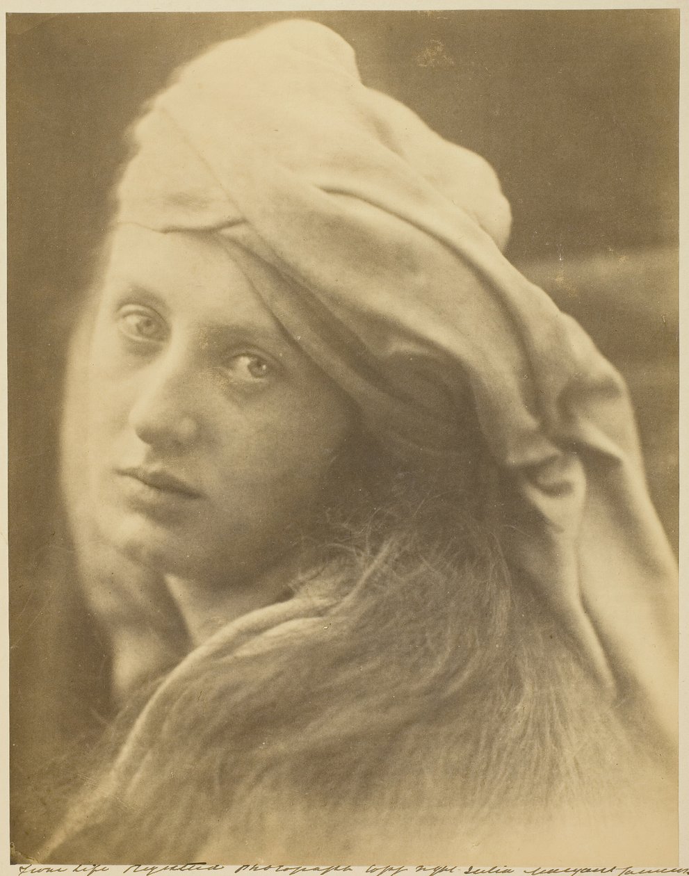 Uno Studio di Beatrice Cenci da Julia Margaret Cameron