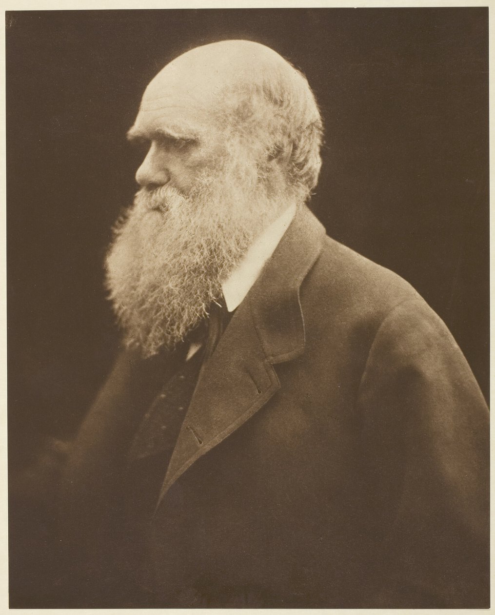 Charles Darwin da Julia Margaret Cameron