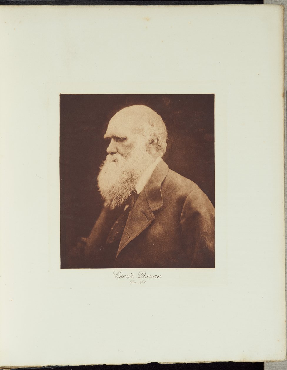 Charles Darwin da Julia Margaret Cameron