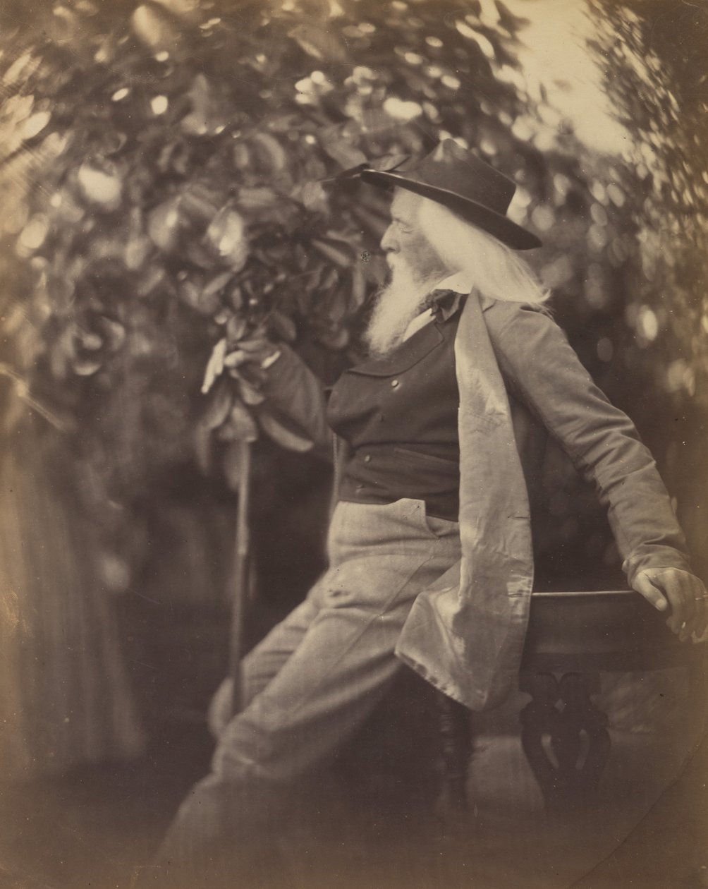 Charles Hay Cameron, Esq., nel suo giardino a Freshwater, 1865-67 da Julia Margaret Cameron