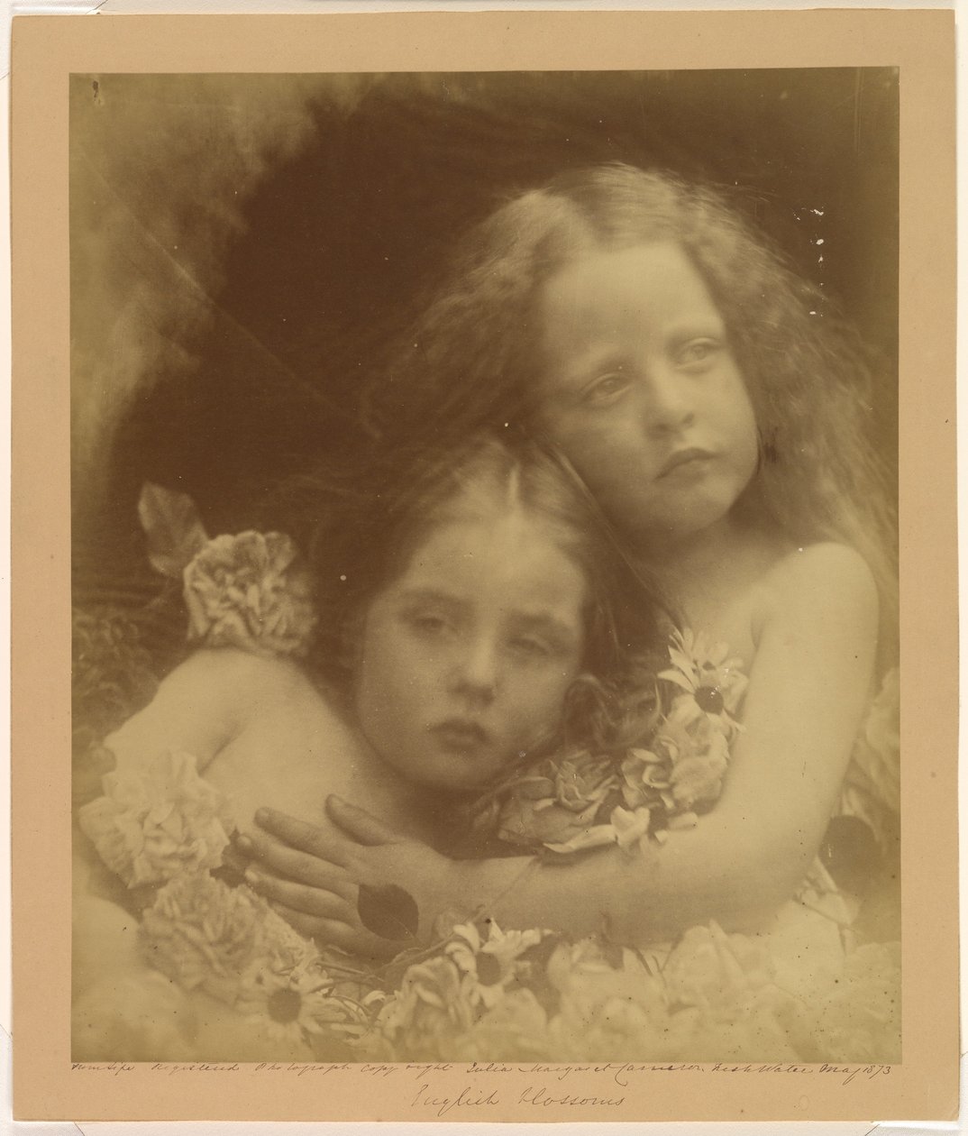 Fiori inglesi da Julia Margaret Cameron