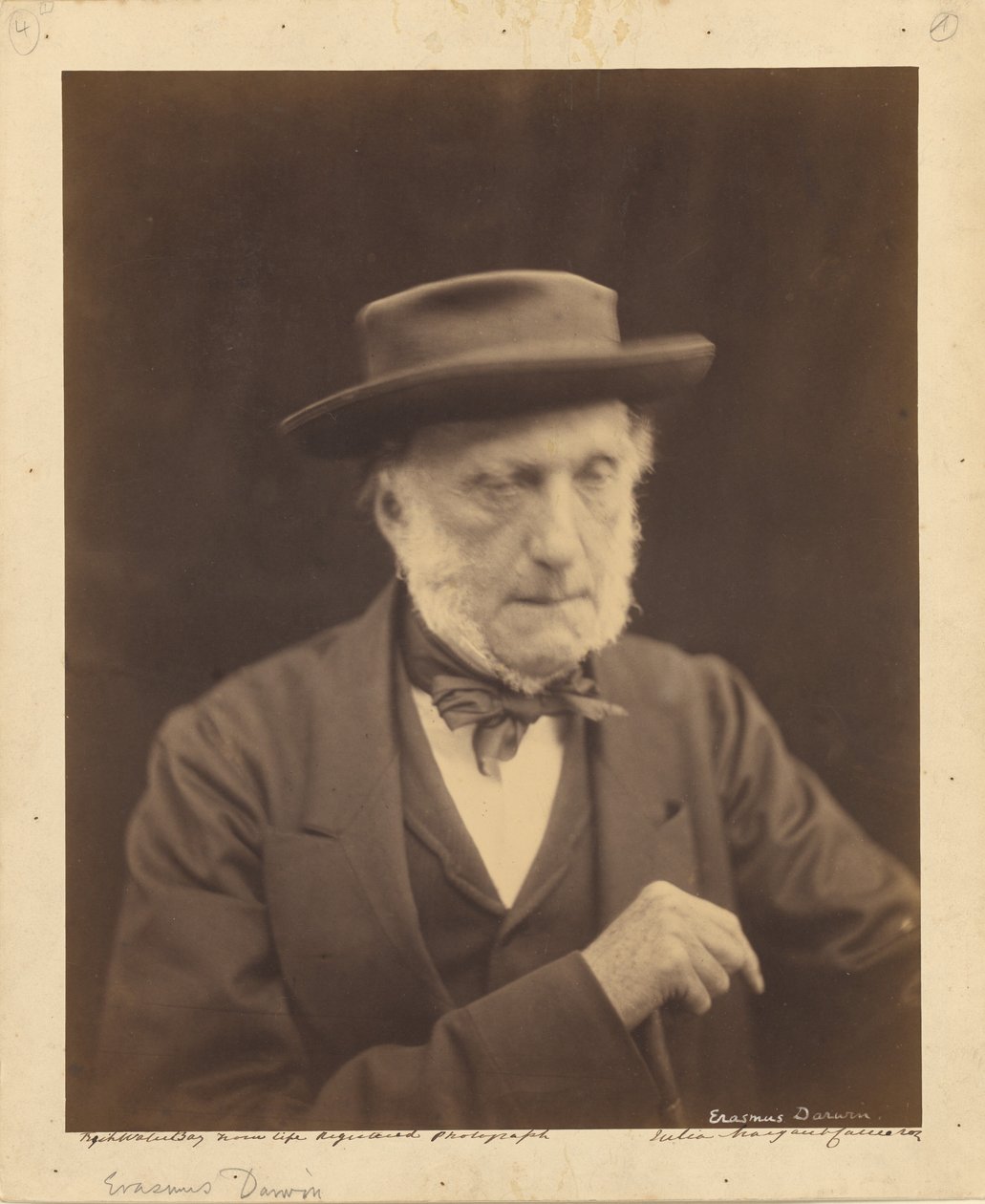 [Erasmus Darwin] da Julia Margaret Cameron