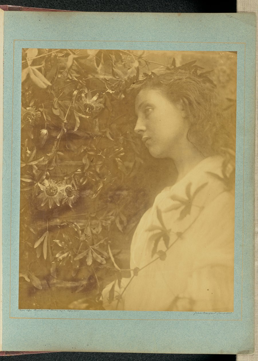 Maud «È caduta una lacrima splendida» / «Dal fiore della passione vicino al cancello». da Julia Margaret Cameron