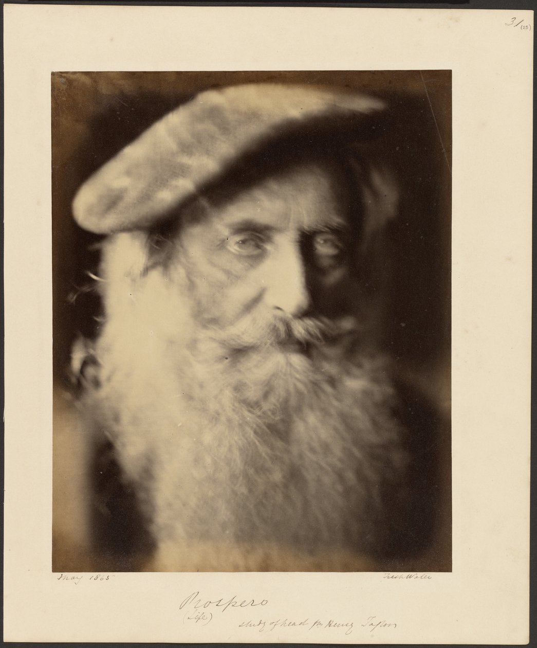 Prosperità da Julia Margaret Cameron