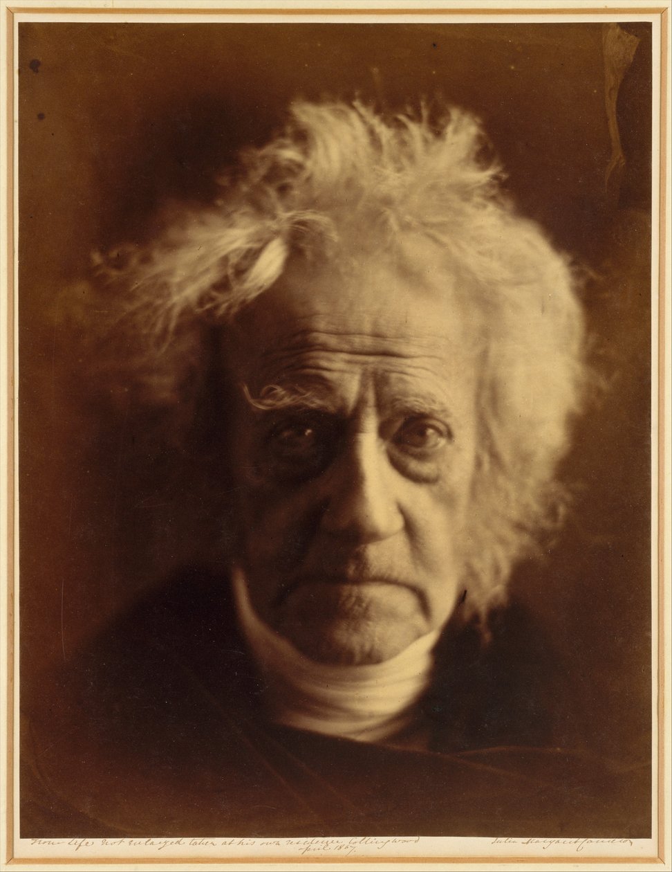 Sir John Herschel da Julia Margaret Cameron