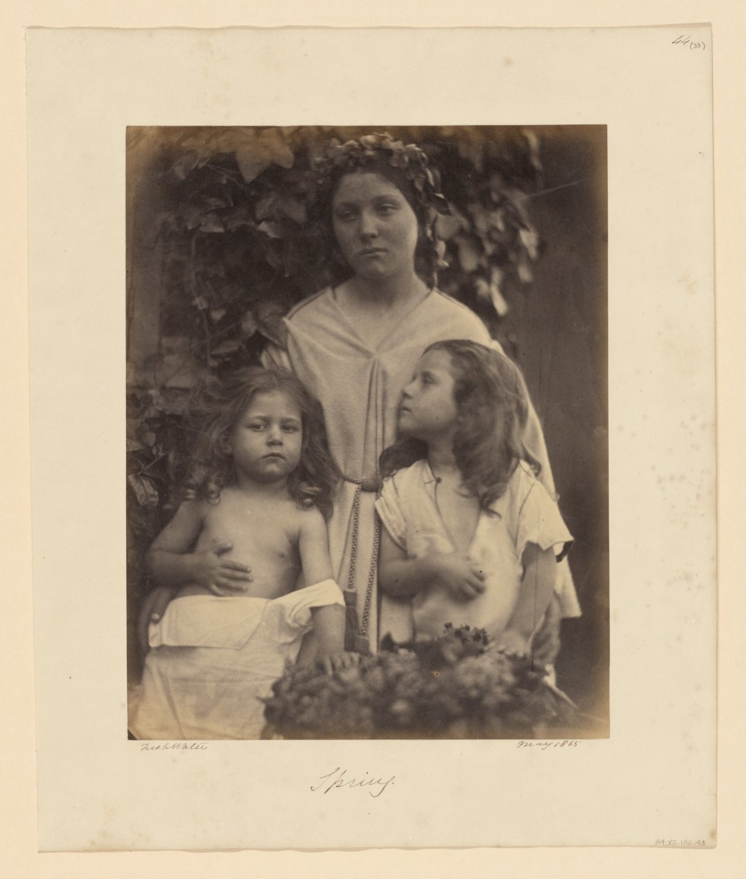 Primavera da Julia Margaret Cameron