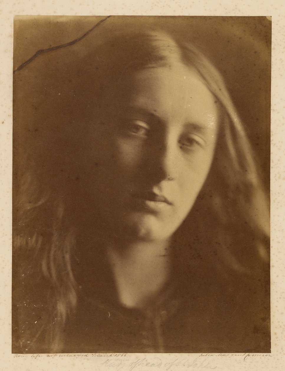 [Studio Testa di San Giovanni] da Julia Margaret Cameron