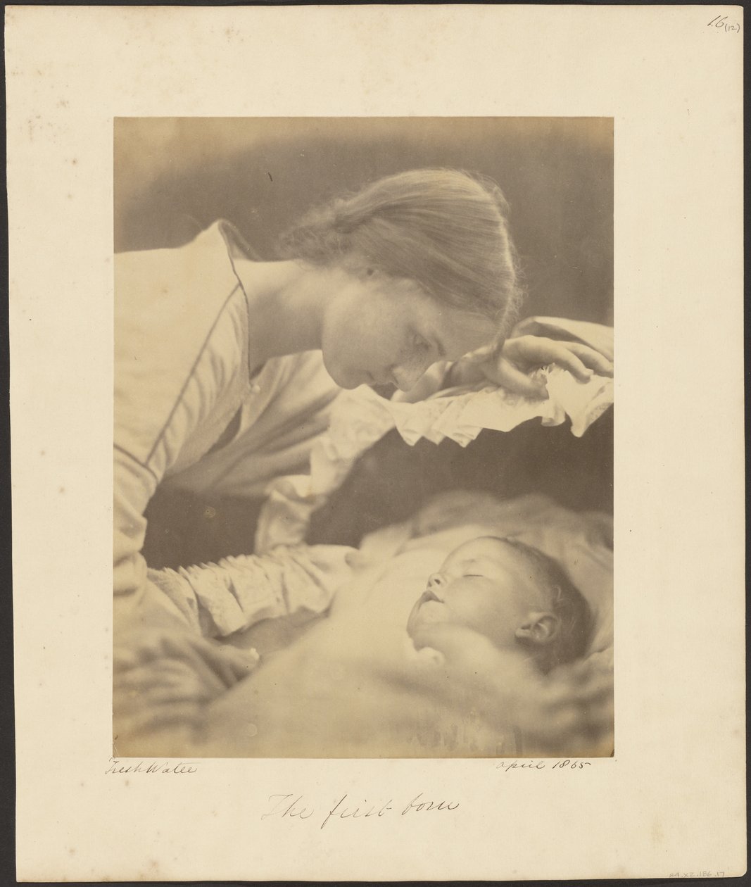 Il primogenito da Julia Margaret Cameron