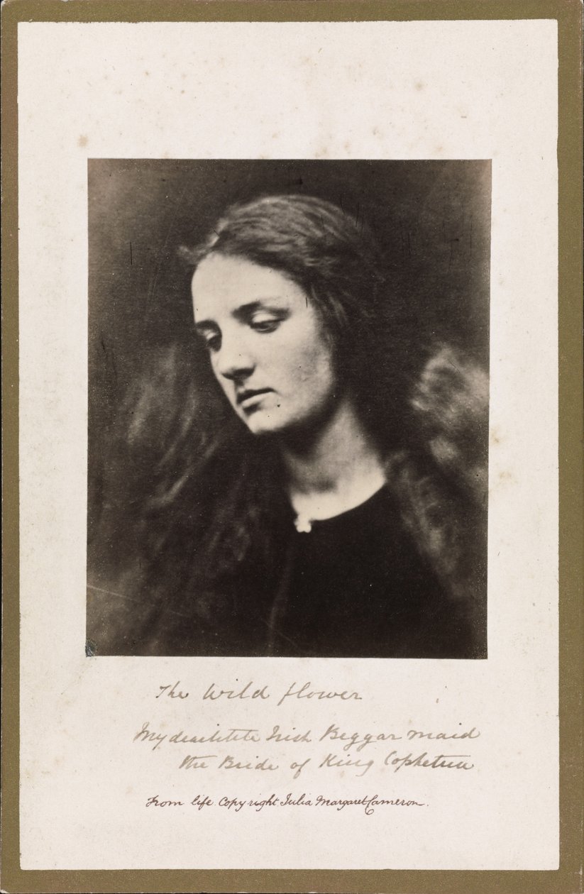 Il Fiore Selvatico da Julia Margaret Cameron