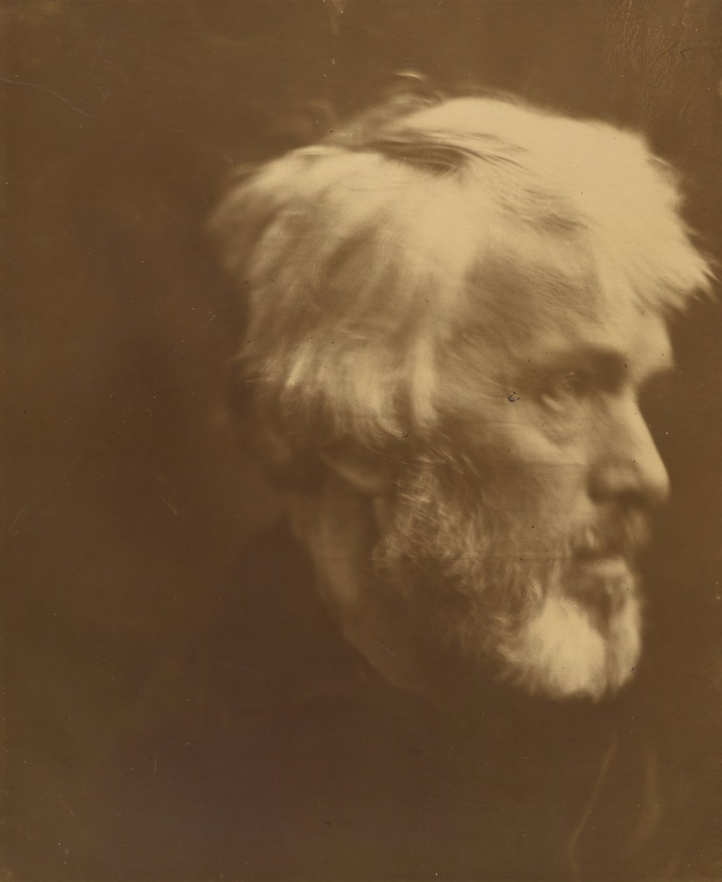 Thomas Carlyle da Julia Margaret Cameron