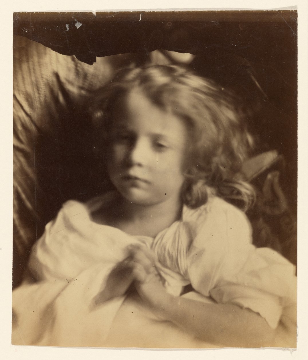 [Willin] da Julia Margaret Cameron