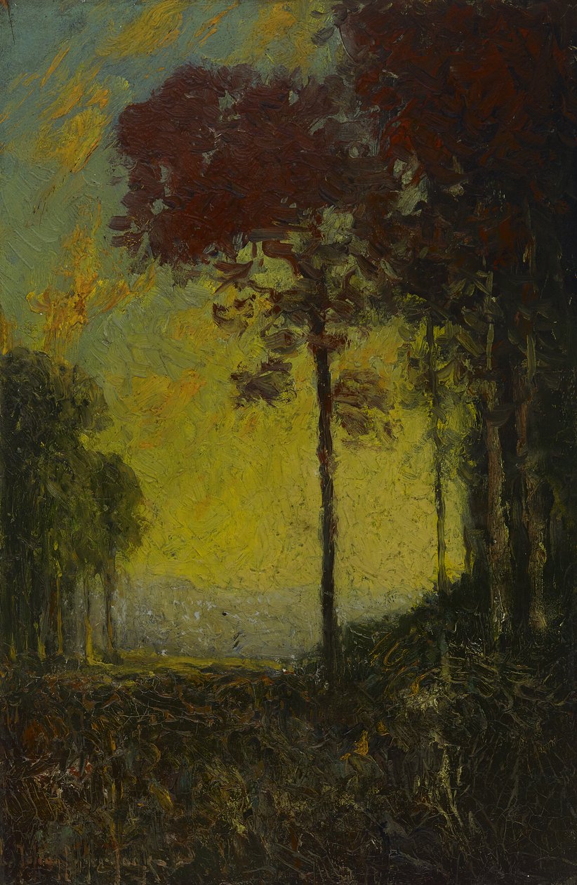 Tramonto autunnale da Julian Onderdonk