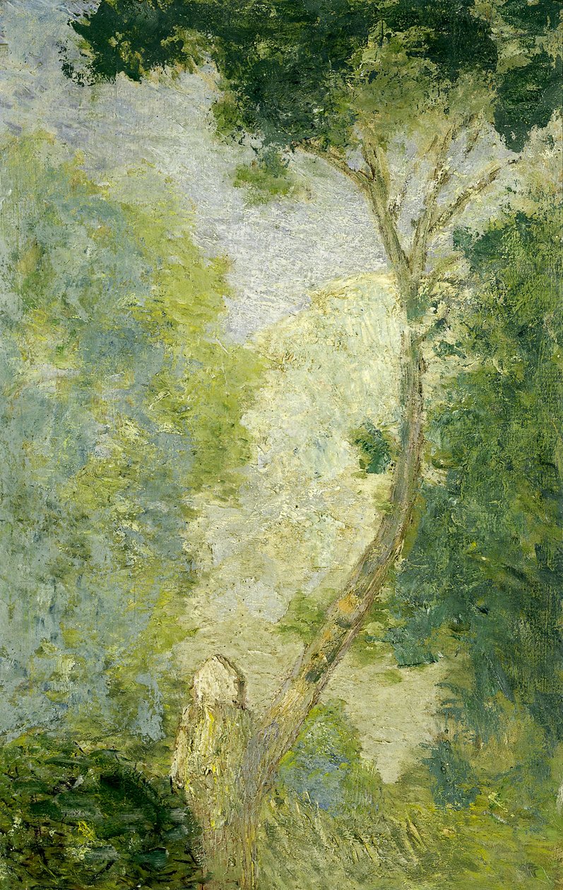 Paesaggio, dopo il 1900 da Julian Alden Weir