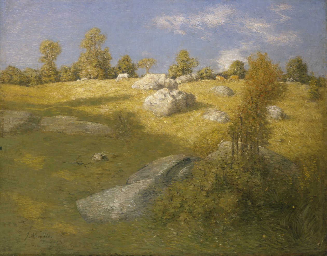 Pascolo in collina, ca. 1905 da Julian Alden Weir