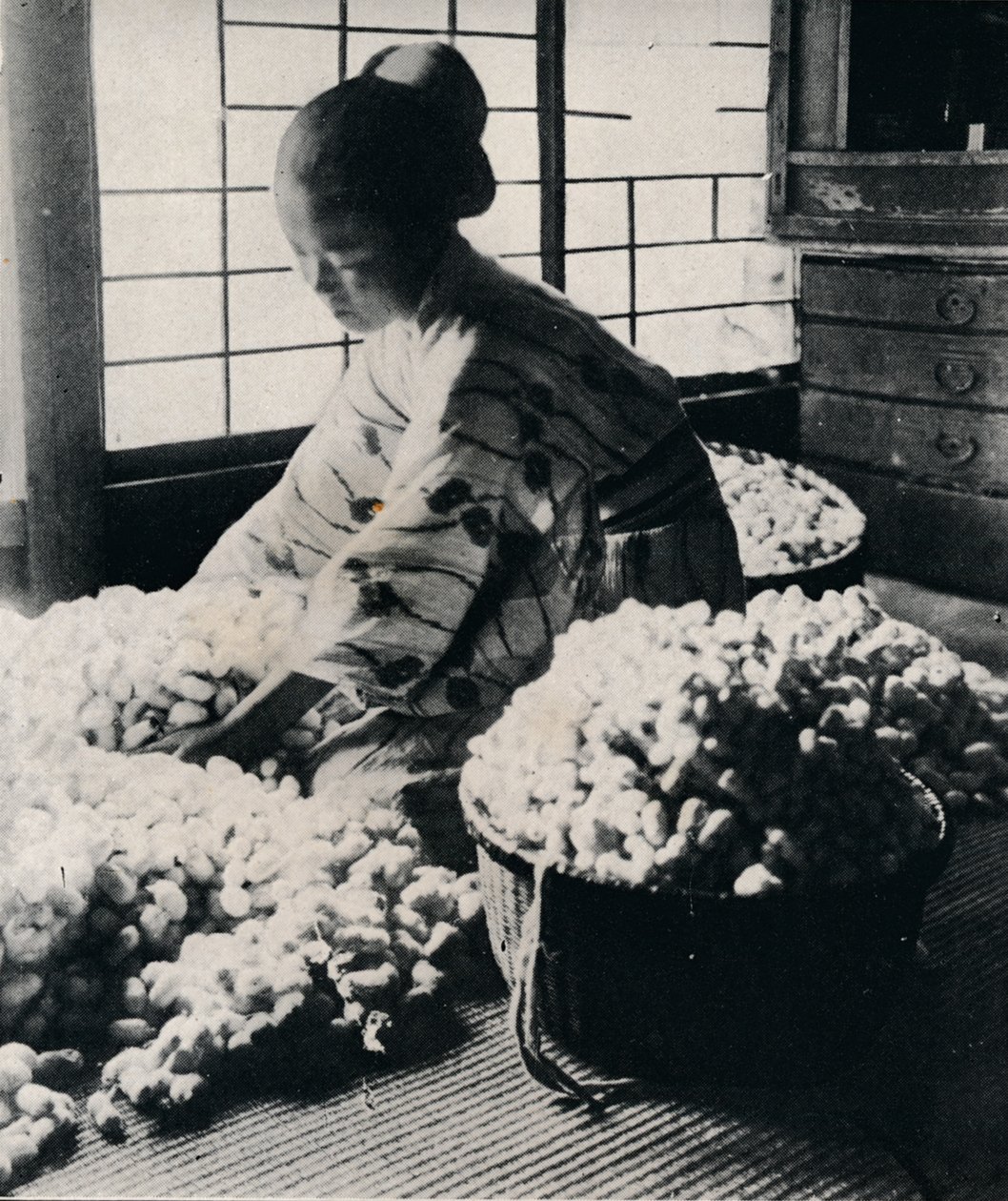 5000 bachi da seta mangiano 125 libbre di gelso per 8 matasse di seta, facendo un kimono, c1900, 1921 da Julian Leonard Street