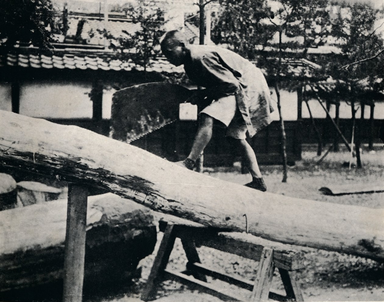 Segare e piallare si fanno con un movimento di trazione anziché di spinta, c1900, 1921 da Julian Leonard Street