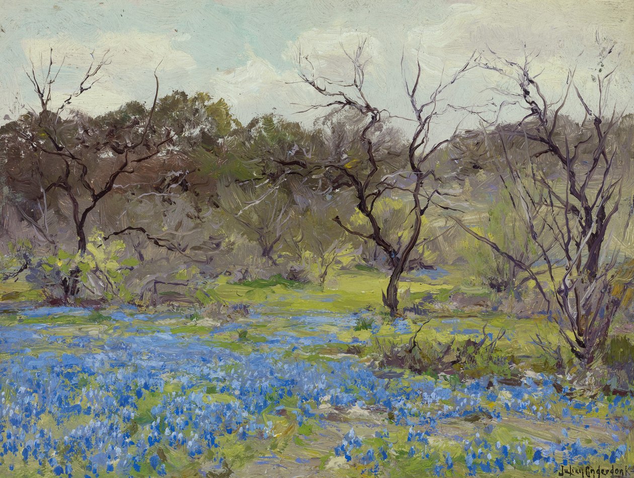 Inizio primavera—Bluebonnets e mesquite da Julian Onderdonk