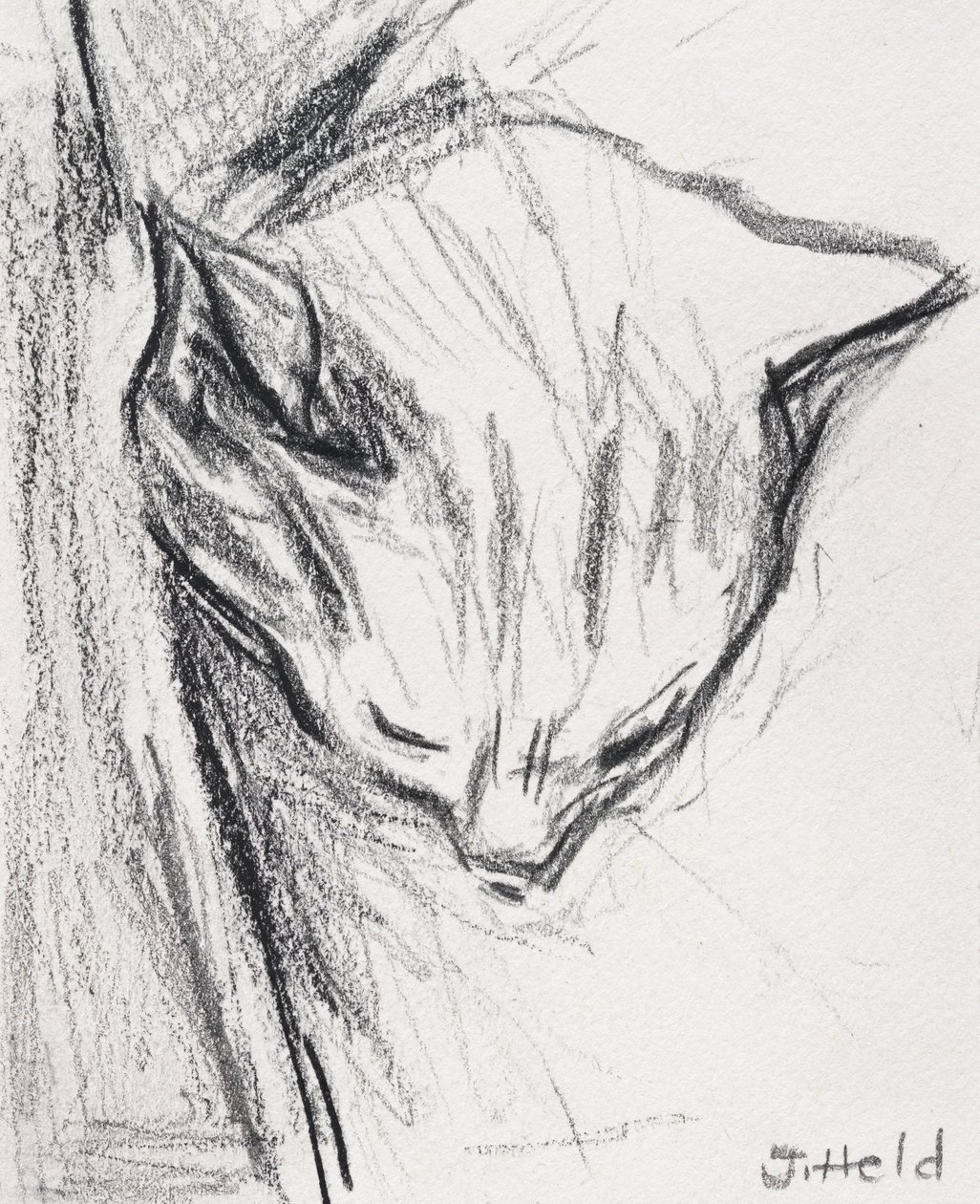 Gatto che dorme, 2015 da Julie Held