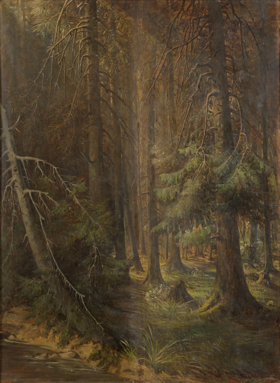 Foresta da Julie Wilhelmine Hagen Schwarz