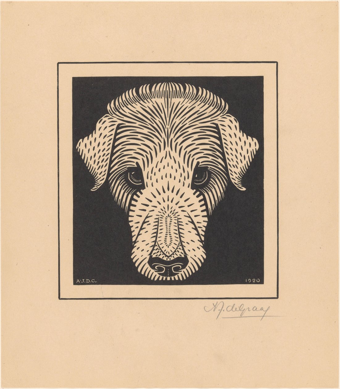Testa di cane da Julie de Graag (signed by artist)
