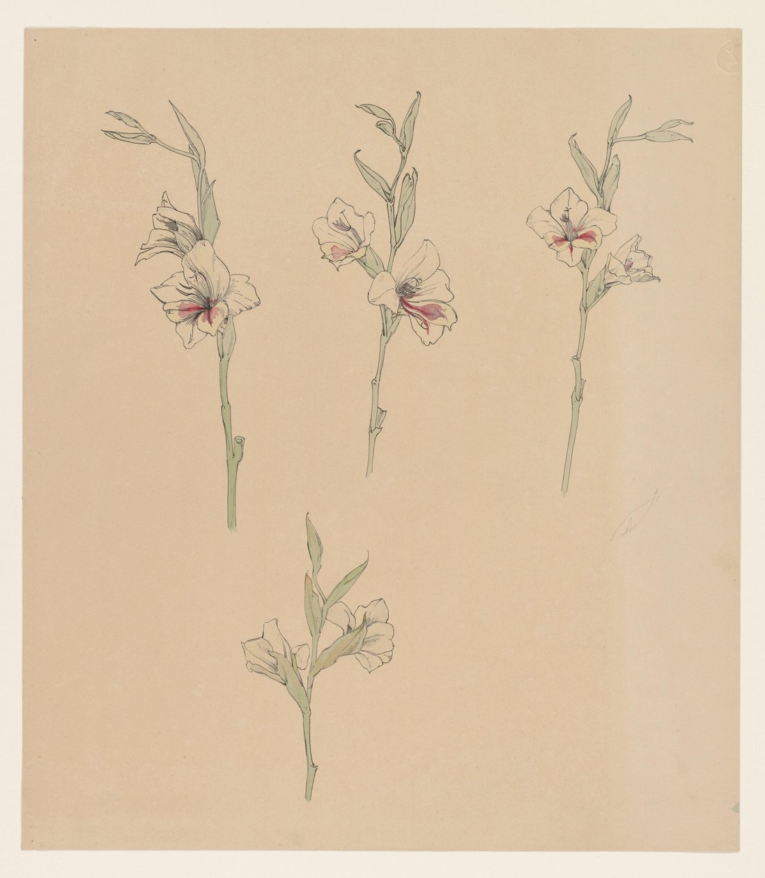 Studi di fiori da Julie de Graag