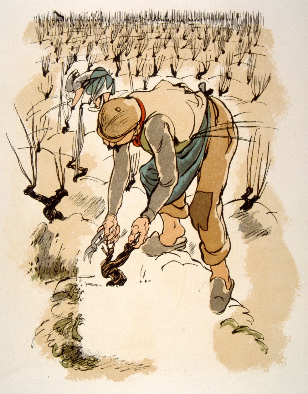 Illustrazione di vino umoristico 1946 da Julien Pavil