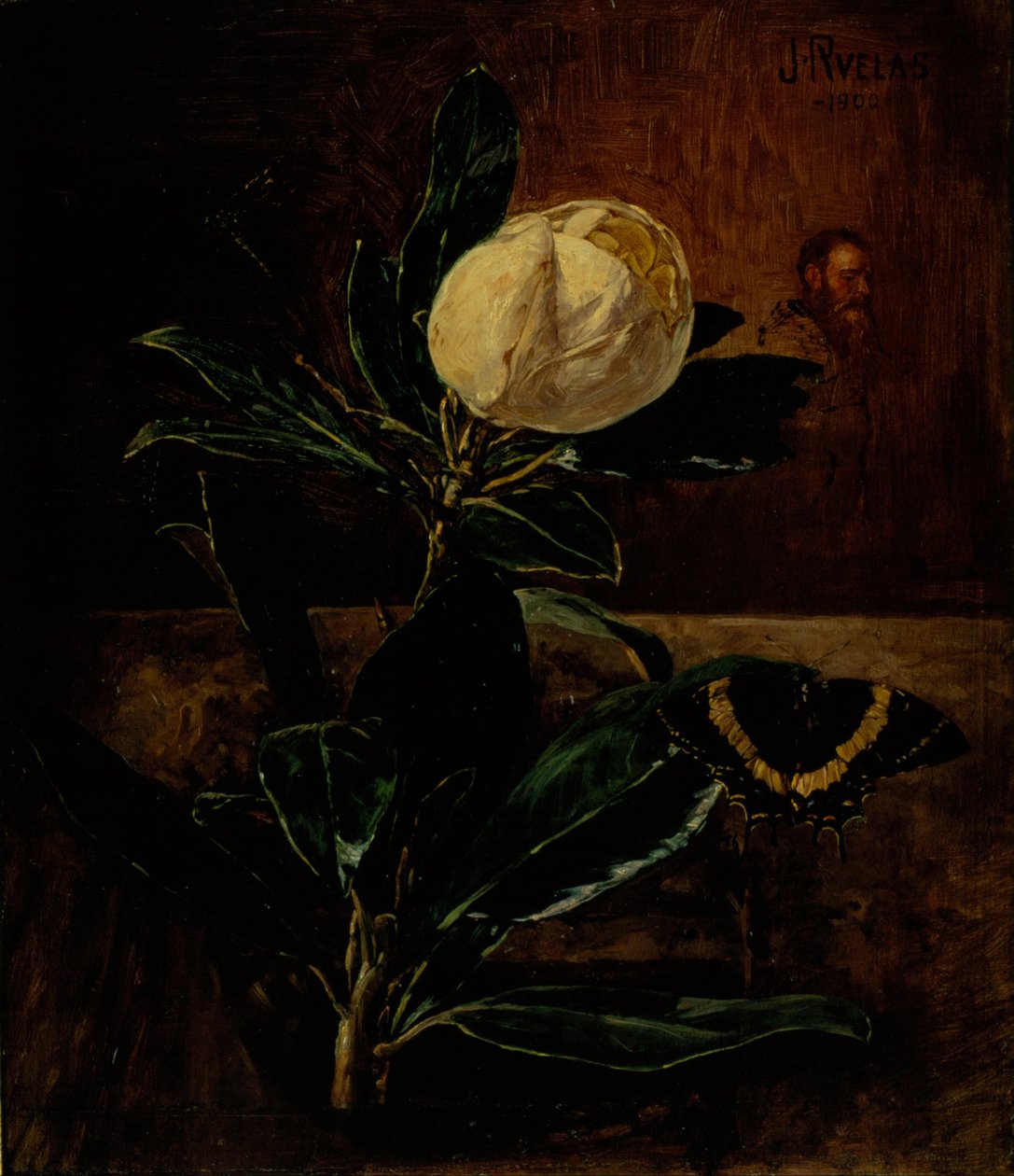 La magnolia da Julio Ruelas