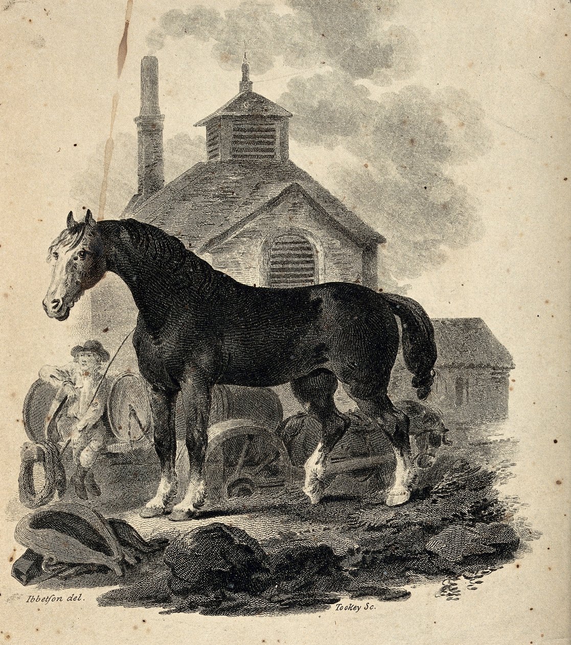 Un cavallo da tiro in piedi davanti al carro con il carrettiere da Julius Caesar Ibbetson
