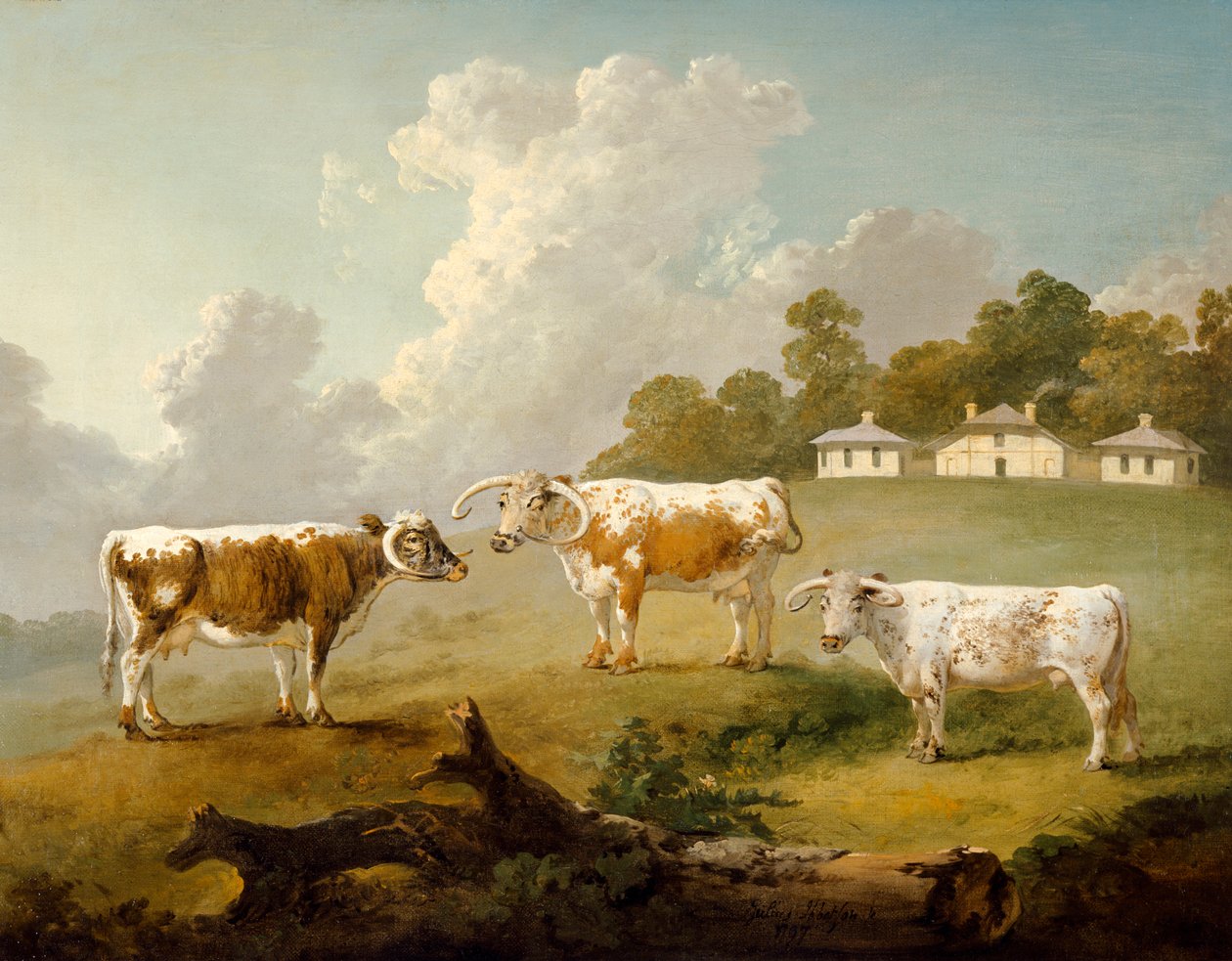 Tre bovini a corna lunghe a Kenwood, 1797 da Julius Caesar Ibbetson