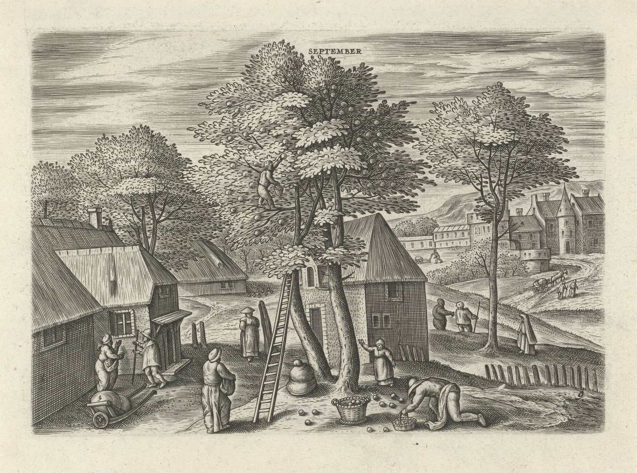 Settembre da Julius Goltzius