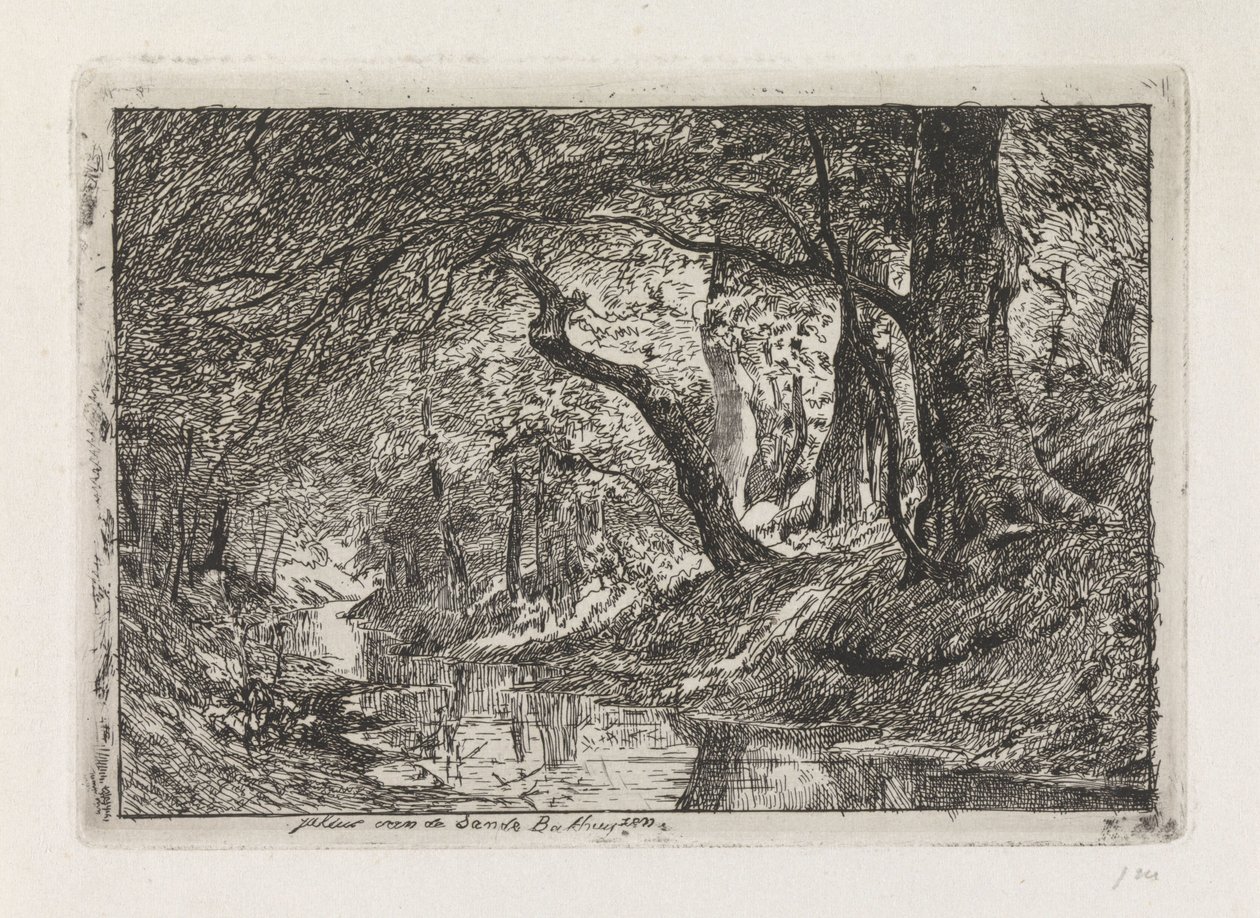 Paesaggio boschivo con ruscello e alberi sulla riva da Julius Jacobus van de Sande Bakhuyzen