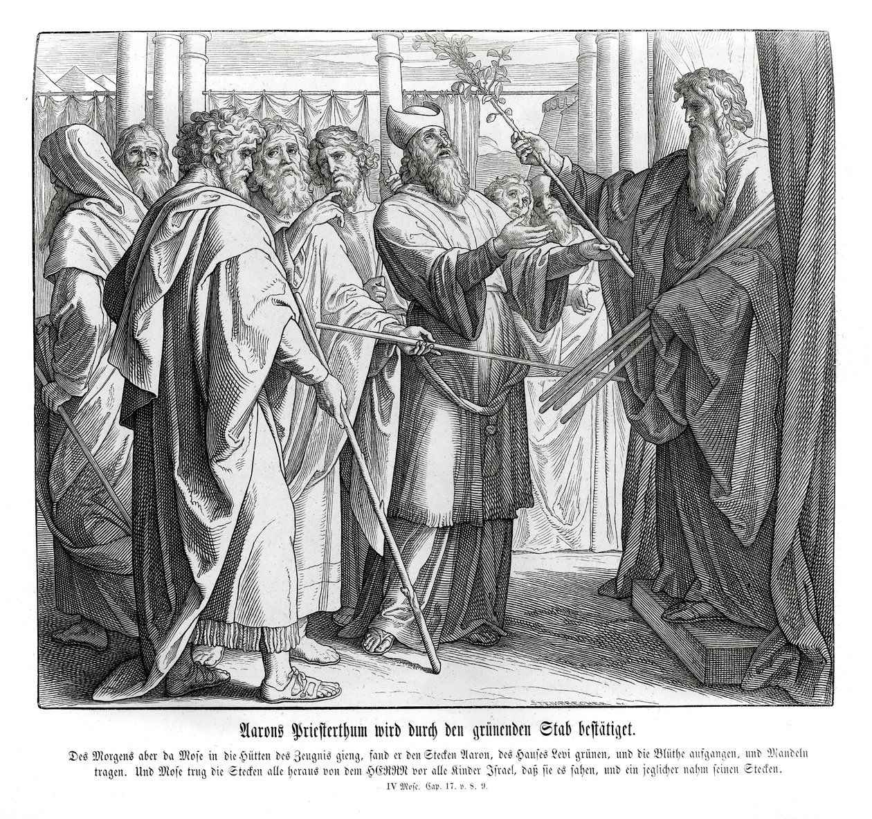 Il sacerdozio di Aronne è confermato, Numeri da Julius Schnorr von Carolsfeld