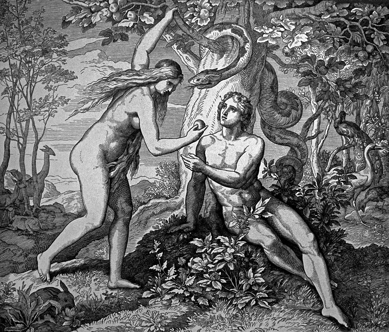 Adamo ed Eva con la mela da Julius Schnorr von Carolsfeld