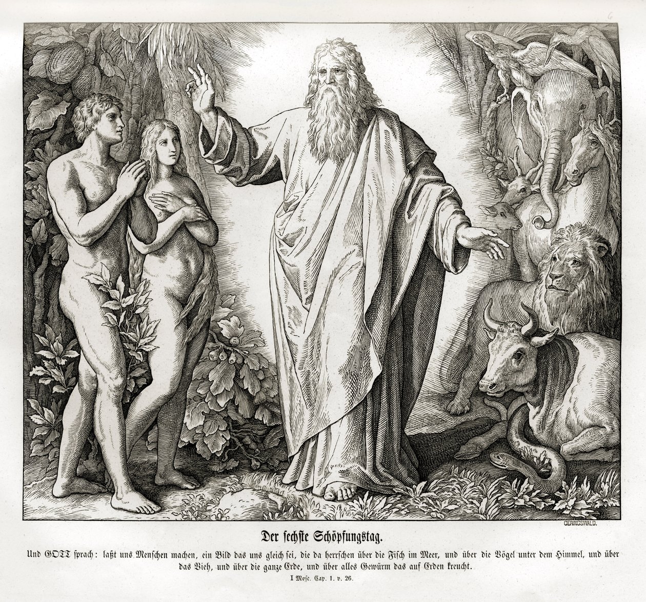Sesto giorno della creazione, Genesi da Julius Schnorr von Carolsfeld