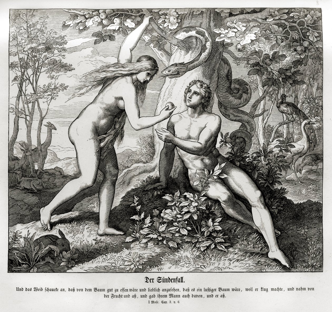 La caduta, Genesi da Julius Schnorr von Carolsfeld