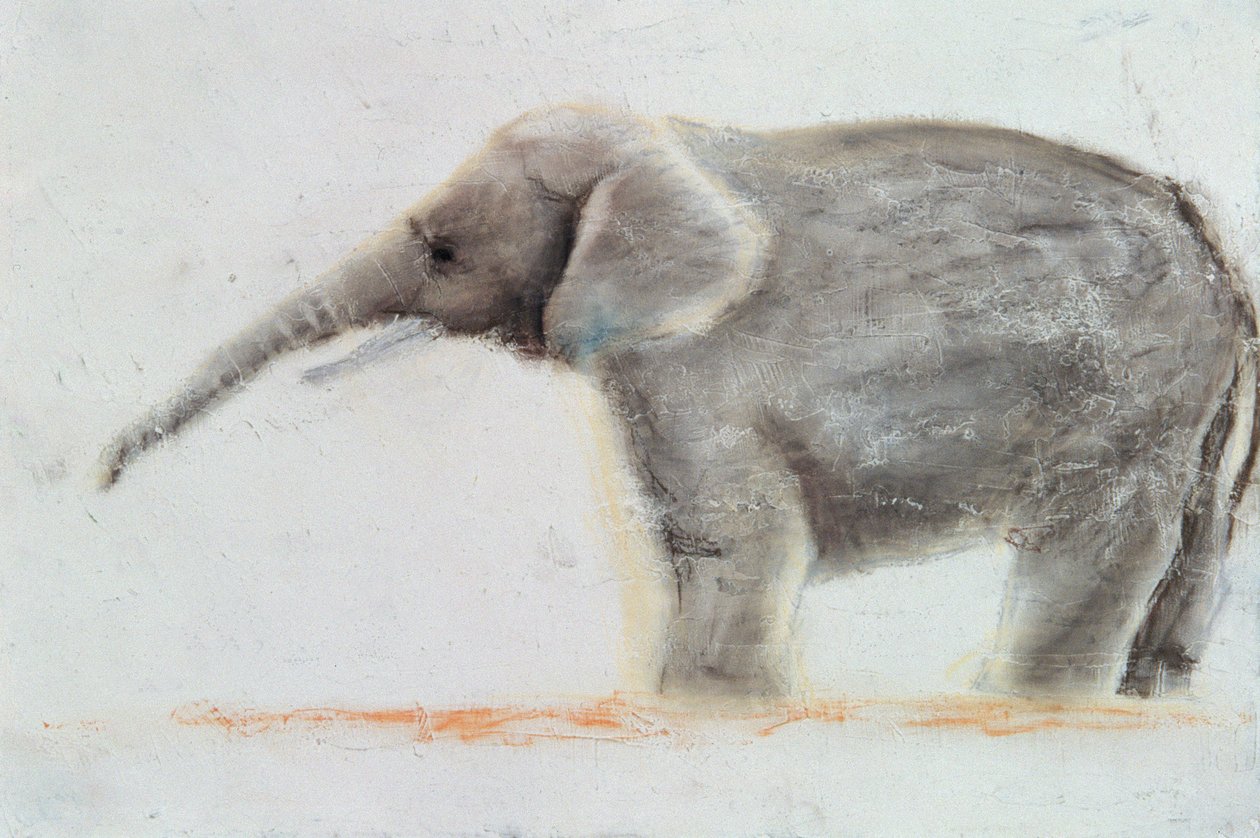 Elefante da Jung Sook Nam