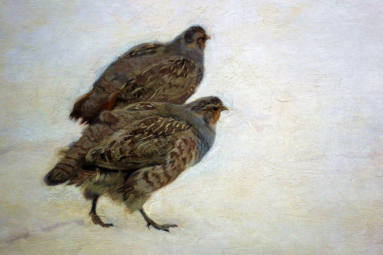 Pernici da Józef Chełmoński