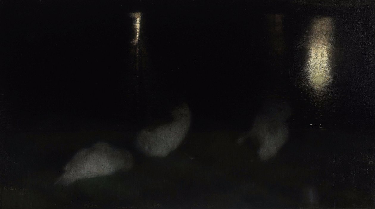 Notturno. Cigni nel Giardino Sassone a Varsavia di notte da Jozef Pankiewicz