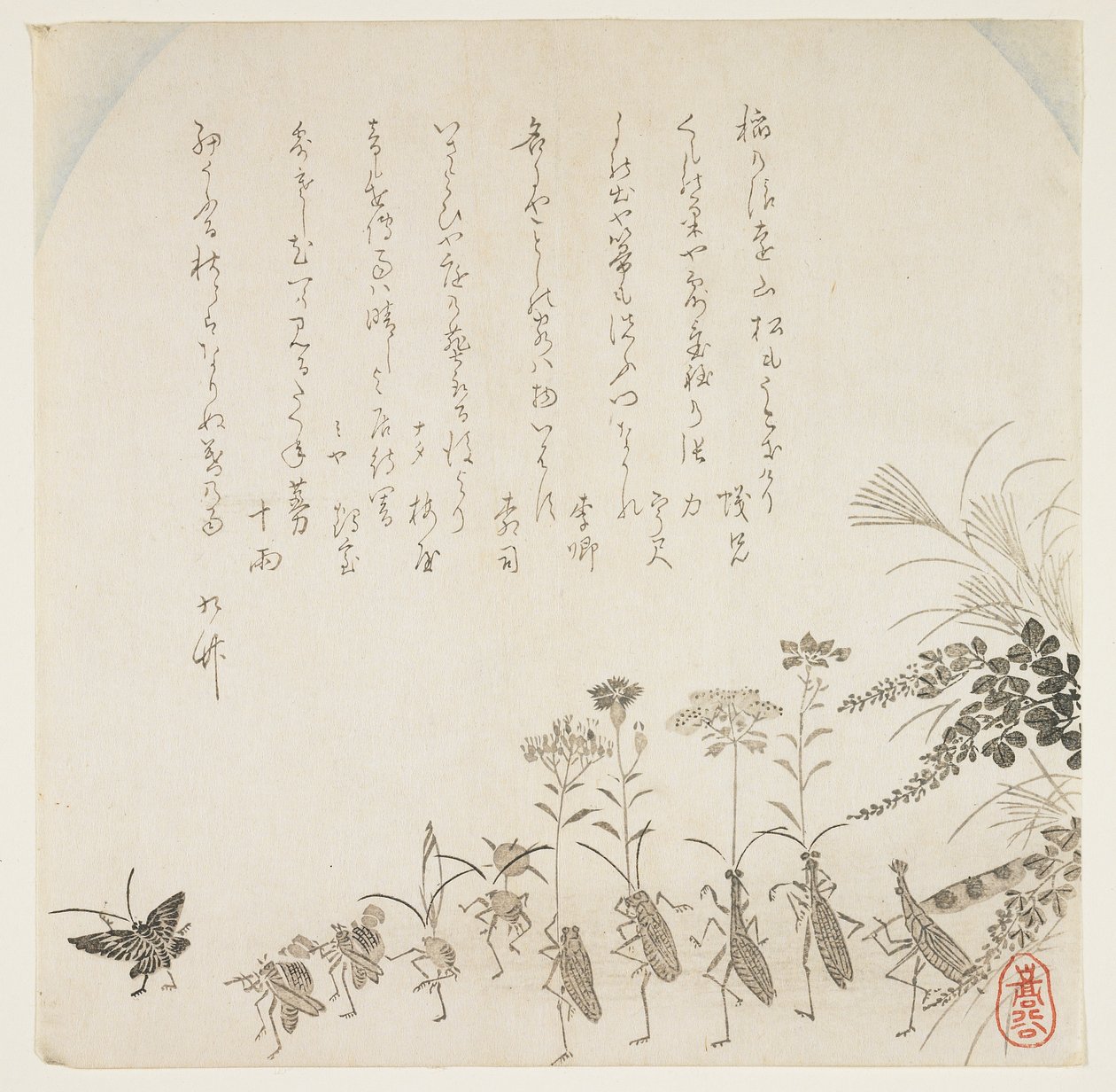 Fiori autunnali e insetti canori, c.1854-59 da K II Skoku
