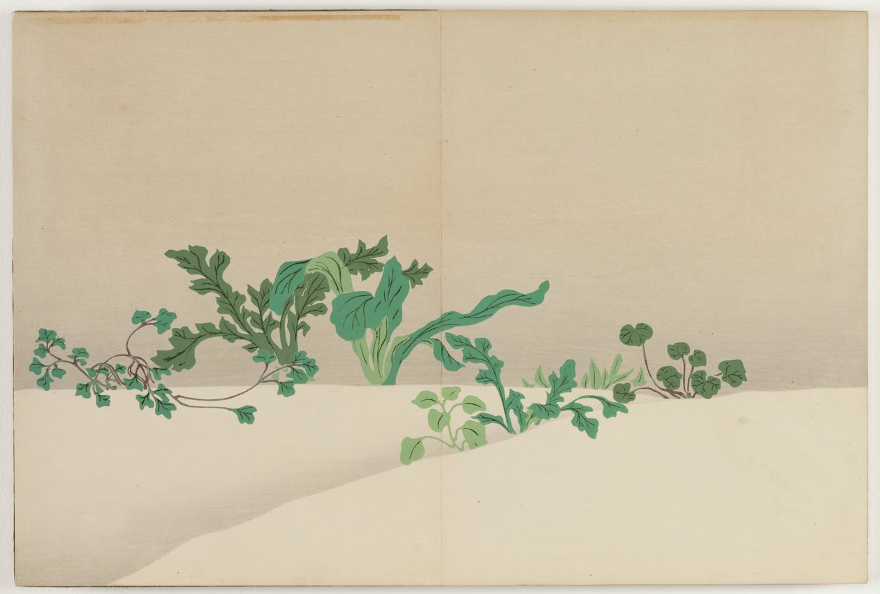 Fiori di Cento Mondi (Momoyogusa): Sette Erbe della Prima Primavera (Nanagusa) da Kamisaka Sekka