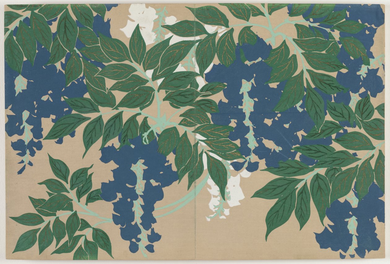 Fiori di cento mondi (Momoyogusa): Glicine (Fuji) da Kamisaka Sekka