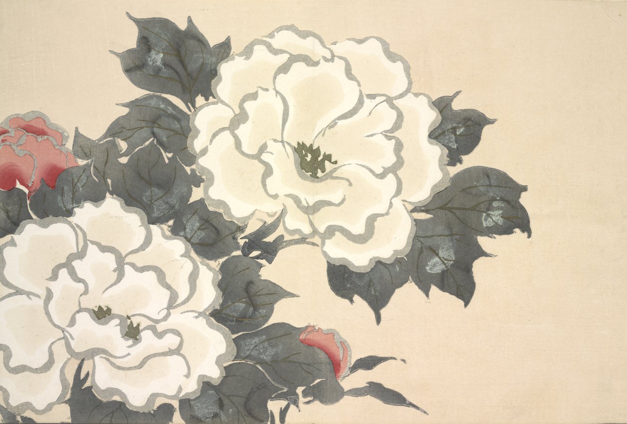 Fukami-Gusa, da Momoyo-gusa (Il mondo delle cose) Vol I, pub.1909 da Kamisaka Sekka