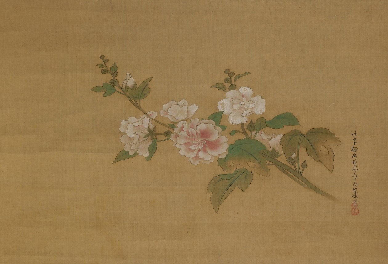 Un ramo di ibisco in fiore, Periodo Edo da Kanō Tan’yū