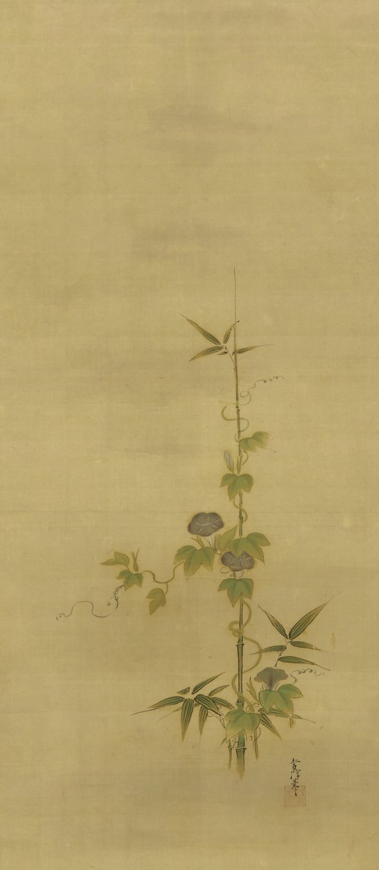 Bambù e glorie del mattino, periodo Edo, metà XVII-inizio XVIII secolo da Kano Tsunenobu