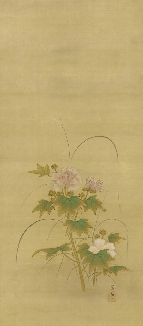 Peonie, periodo Edo, metà XVII-inizio XVIII secolo da Kano Tsunenobu