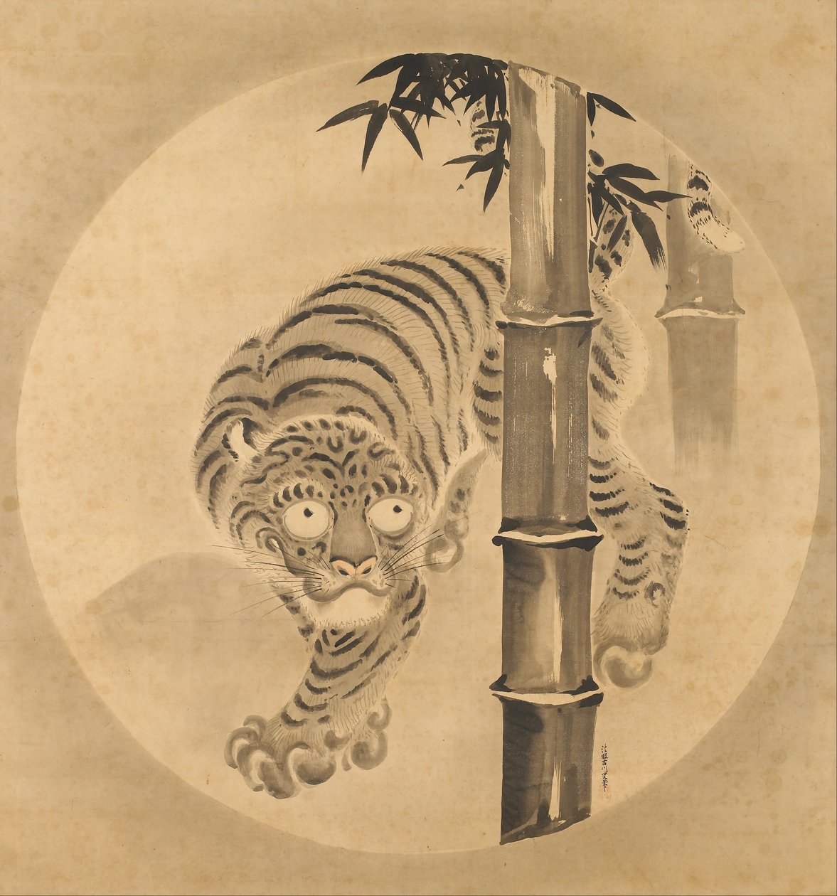 Tigre che emerge dal bambù da Kano Tsunenobu