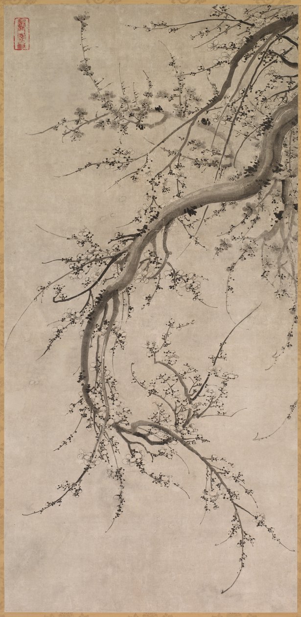 Prunus da Kano Ein