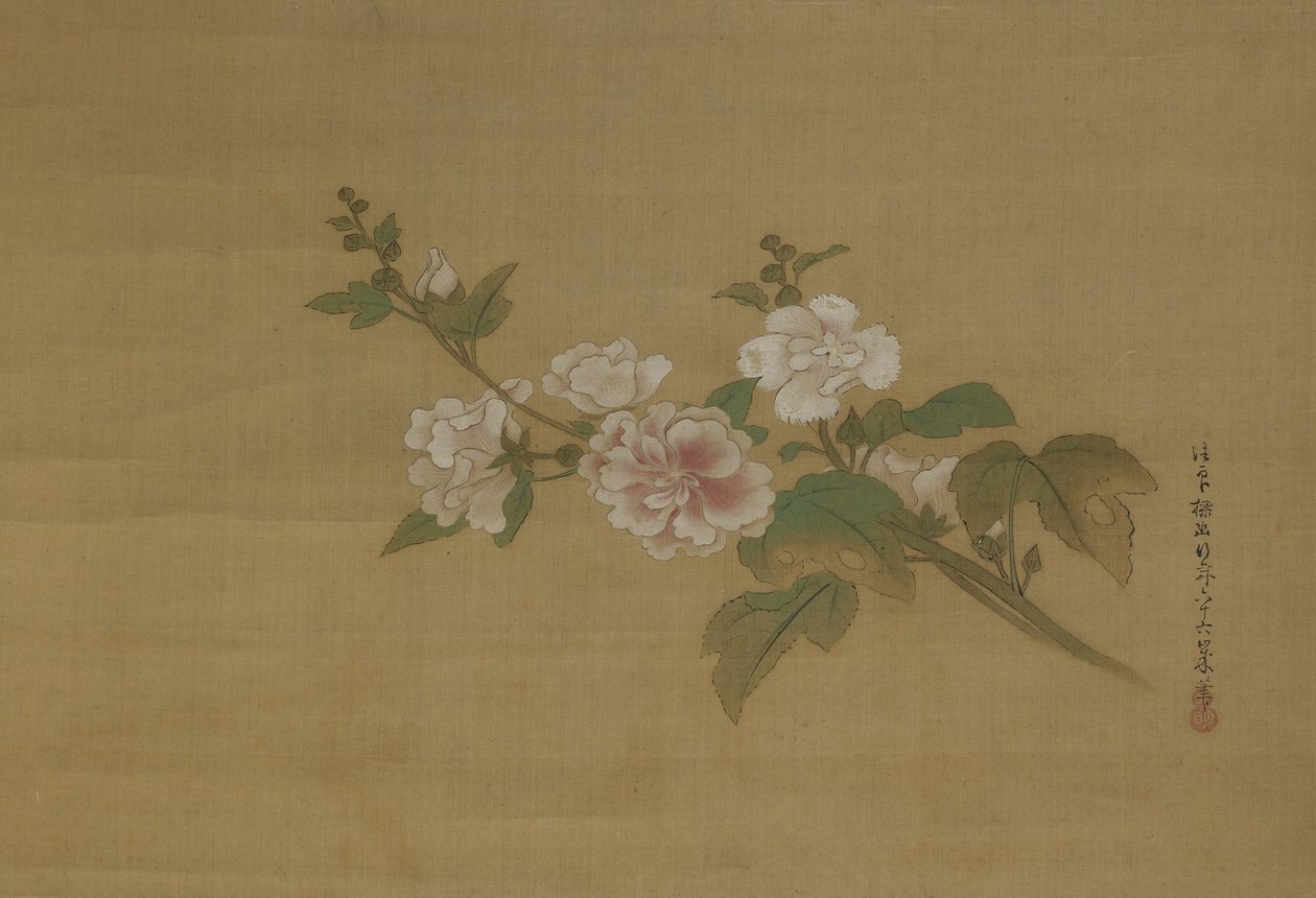 Un ramo di ibisco in fiore, Periodo Edo da Kano Tanyu