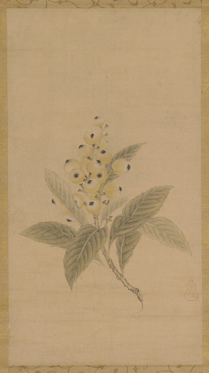 Un ramo di nespole, periodo Edo, XVII secolo da Kanō Tan’yū