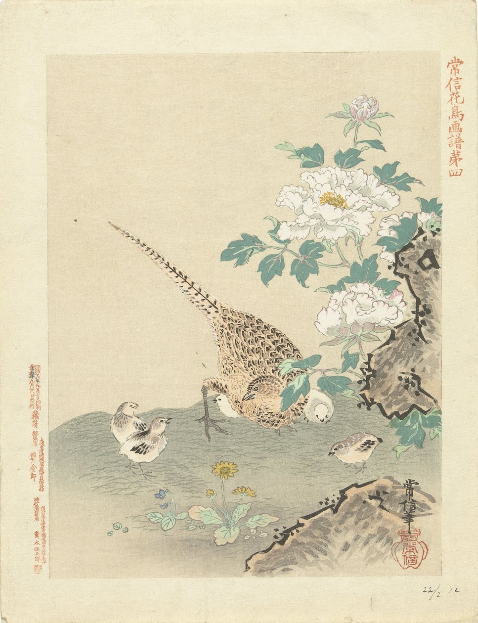 Quaglia con pulcini (serie Bloemen- en vogelschetsen van Kano Tsunenobu, Kano Tsunenobu kacho gafu) da Kano Tsunenobu